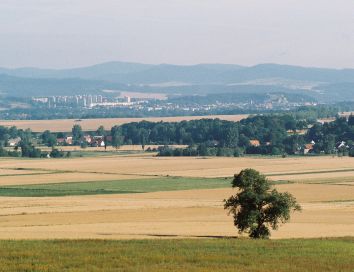 Bieżąca sytuacja na rynku nieruchomości rolnych