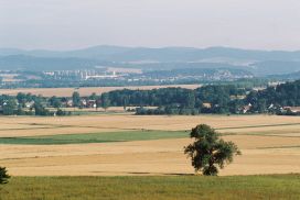 Bieżąca sytuacja na rynku nieruchomości rolnych